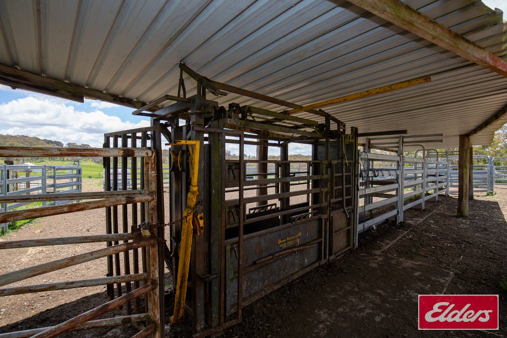 1705 Mount Mitchell Road, Glencoe, NSW, 2365 - Image 29