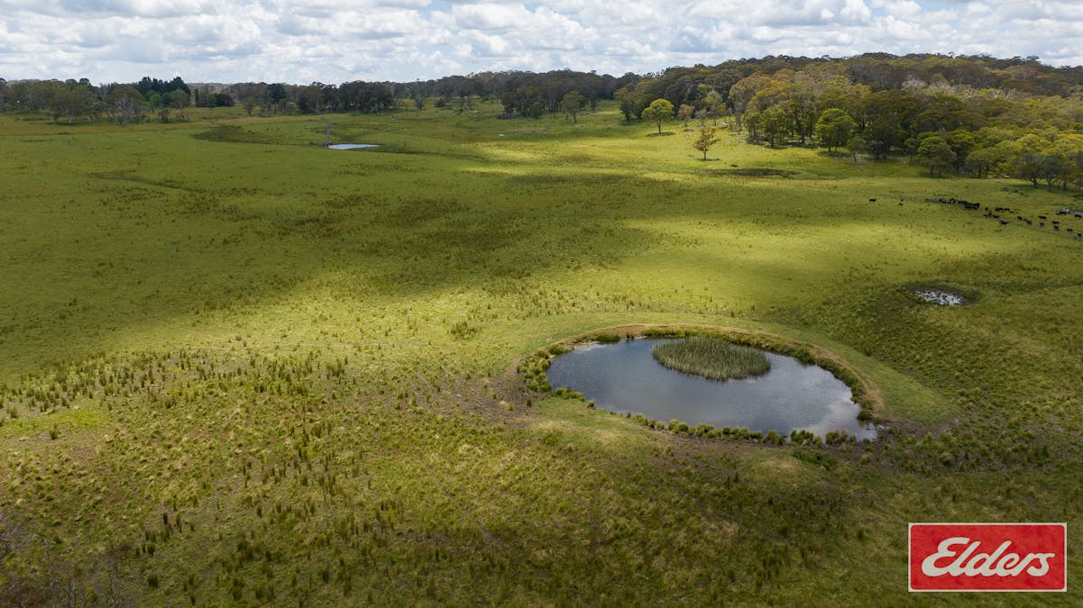 1705 Mount Mitchell Road, Glencoe, NSW, 2365 - Image 17