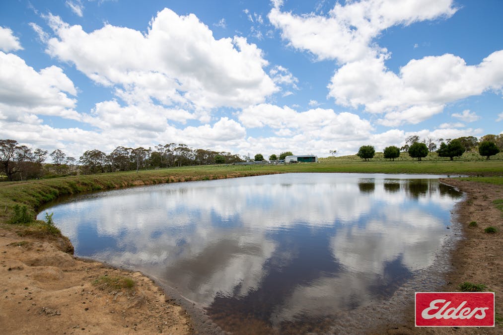 1705 Mount Mitchell Road, Glencoe, NSW, 2365 - Image 15
