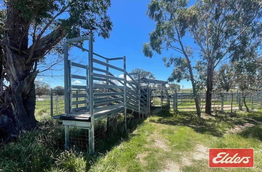 1262 Baldersleigh Road, Guyra, NSW, 2365 - Image 18