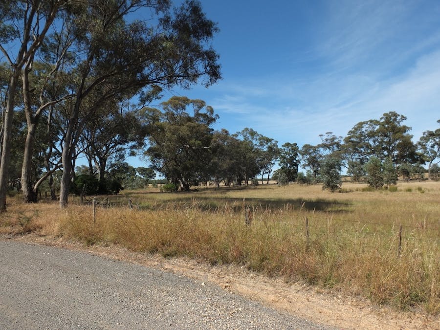 Lot 3, 325 Avoca-Homebush Road, Homebush, VIC, 3465 - Image 3