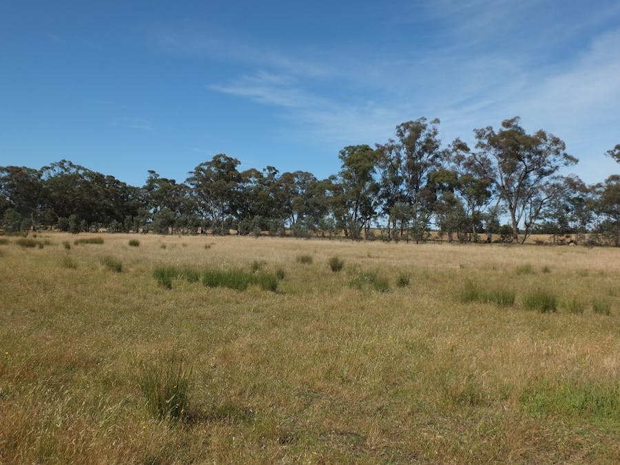 Lot 3, 325 Avoca-Homebush Road, Homebush, VIC, 3465 - Image 6