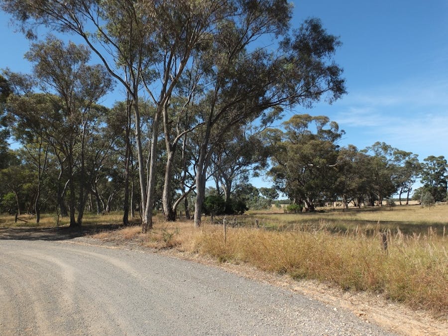 Lot 3, 325 Avoca-Homebush Road, Homebush, VIC, 3465 - Image 7
