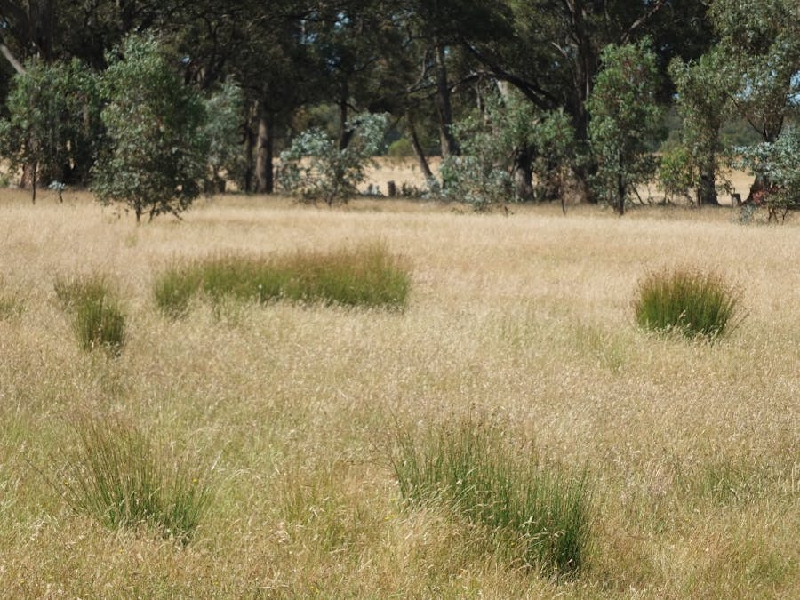 Lot 3, 325 Avoca-Homebush Road, Homebush, VIC, 3465 - Image 1