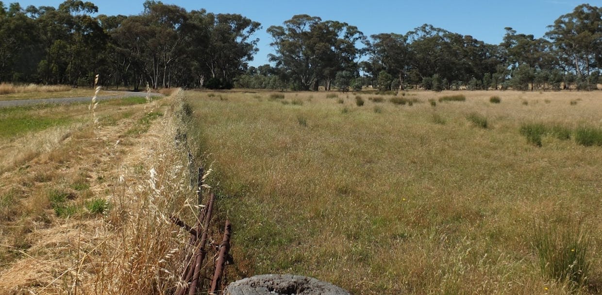 Lot 3, 325 Avoca-Homebush Road, Homebush, VIC, 3465 - Image 2
