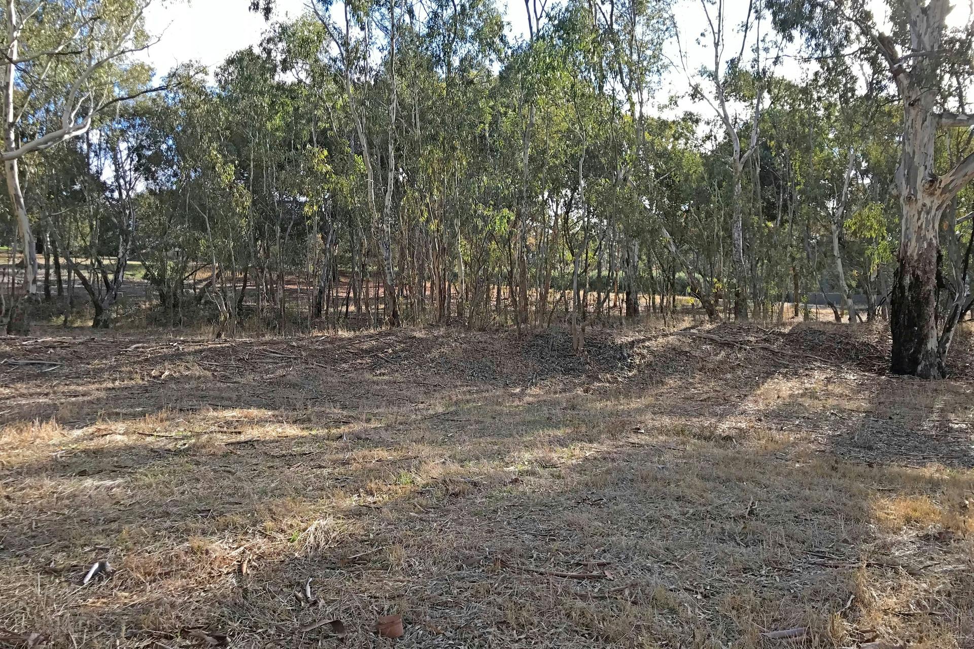 101 & Othe Blyth Road, Armagh, SA, 5453 Sold Elders Real Estate