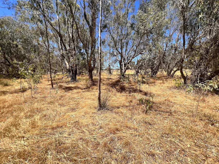 Lot 351 Glenmore Drive, Bakers Hill, WA, 6562 - Image 8