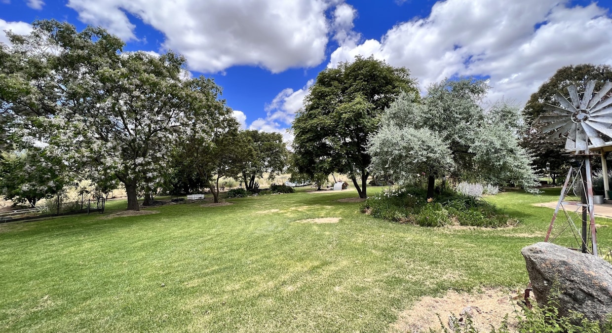 1200 Boundary Road, Young, NSW, 2594 - Image 10