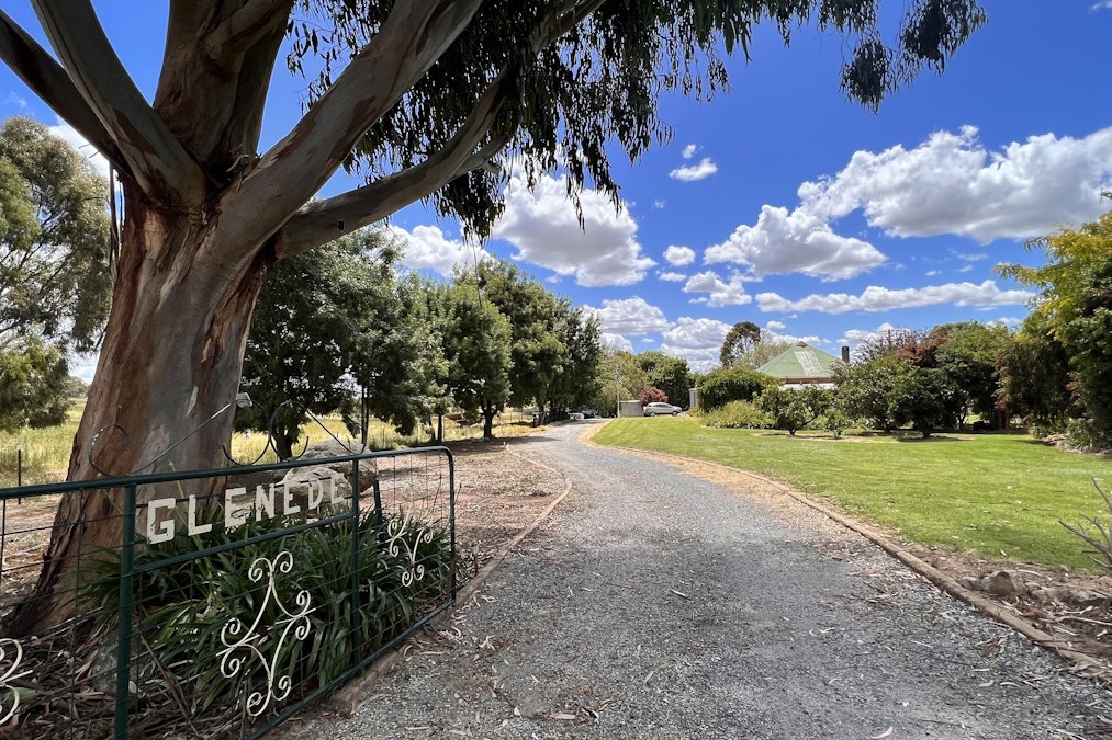 1200 Boundary Road, Young, NSW, 2594 - Image 6