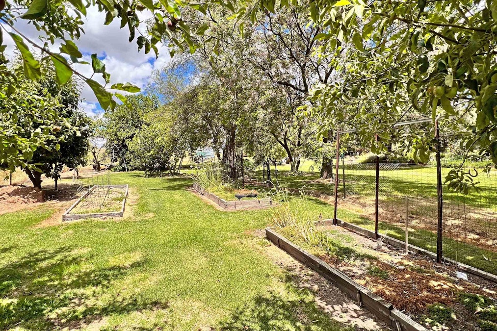 1200 Boundary Road, Young, NSW, 2594 - Image 29
