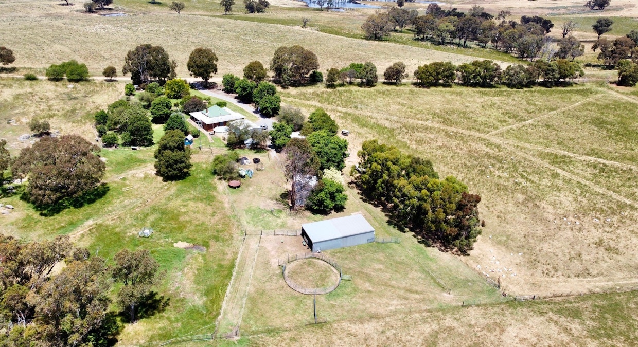 1200 Boundary Road, Young, NSW, 2594 - Image 3