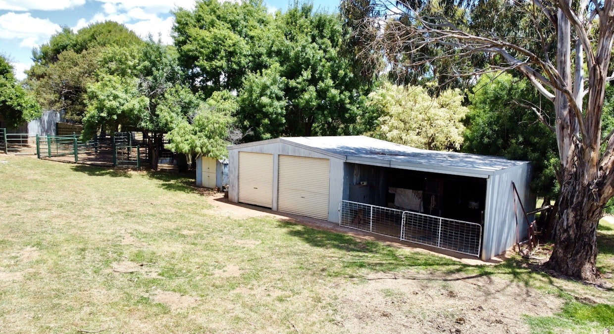 1200 Boundary Road, Young, NSW, 2594 - Image 11