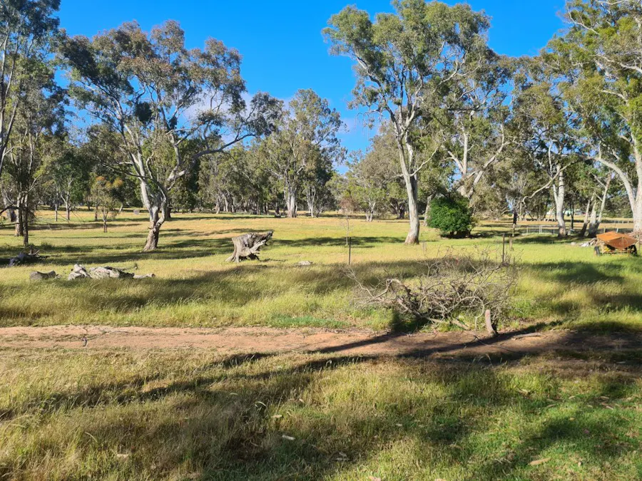 36 Coleraine Road, Balmoral, VIC, 3407 Sold Elders Real Estate