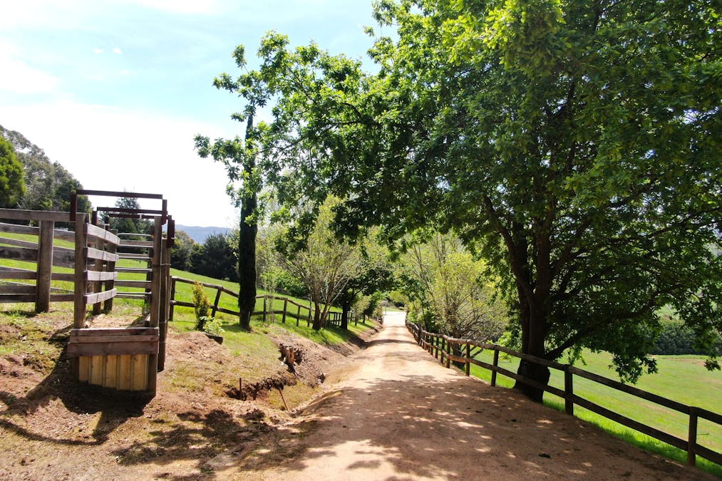 2625 Grand Ridge Road, Hallston, VIC, 3953 - Image 4