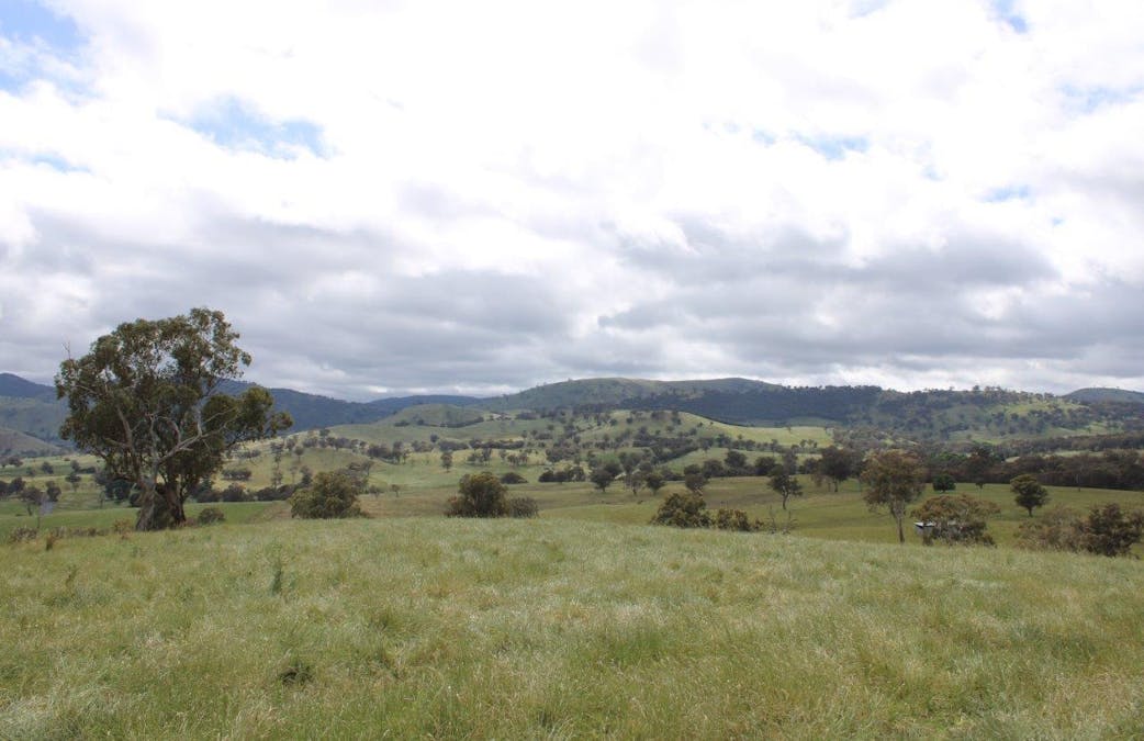 403 Bombowlee Creek Road, Tumut, NSW, 2720 - Image 3