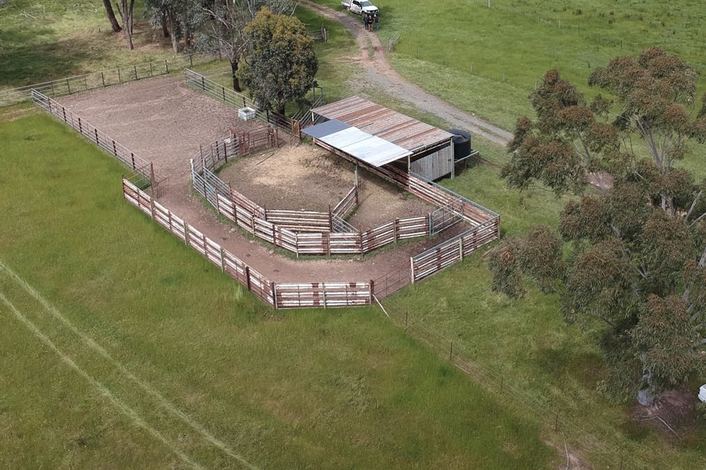 403 Bombowlee Creek Road, Tumut, NSW, 2720 - Image 2