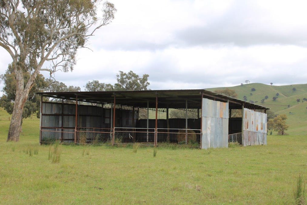 403 Bombowlee Creek Road, Tumut, NSW, 2720 - Image 5