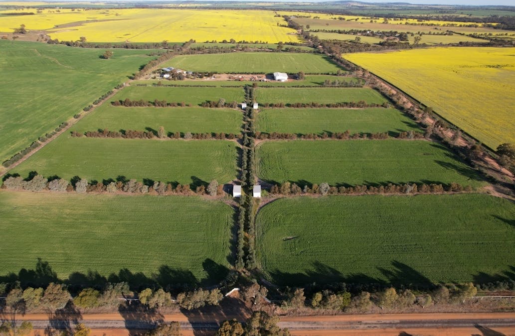 1352  Quellington Road, York, WA, 6302 - Image 7