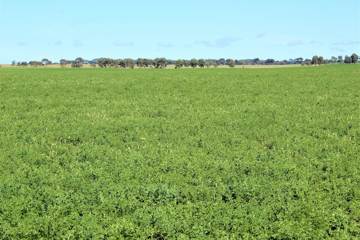 Address upon request Sold Elders Real Estate