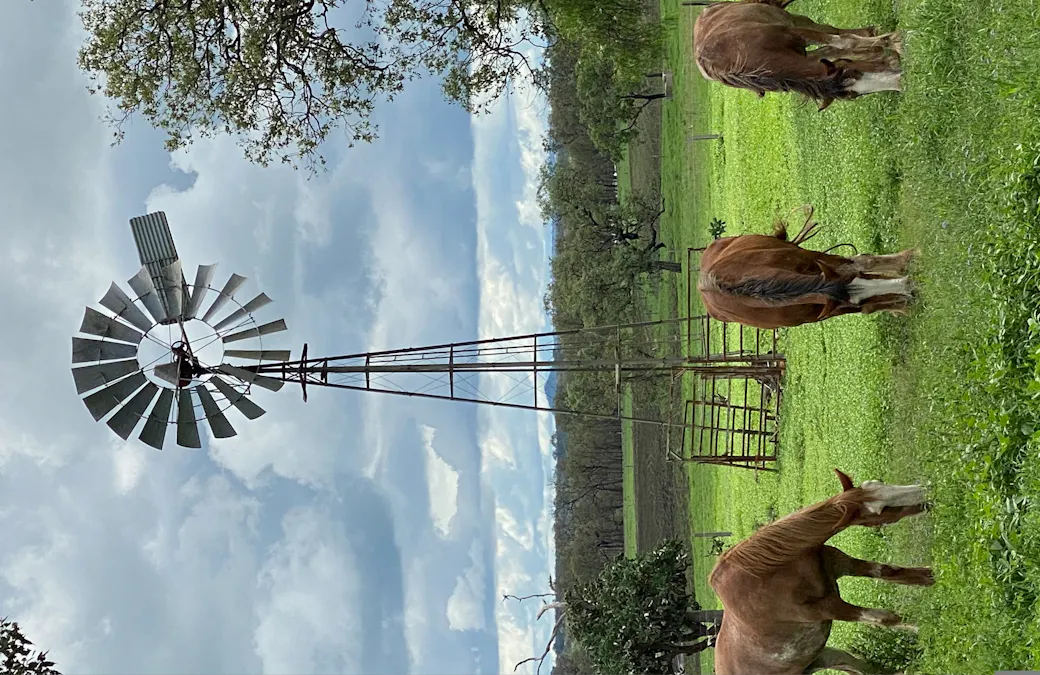 1237 Umbiram Road, Southbrook, QLD, 4363 - Image 20