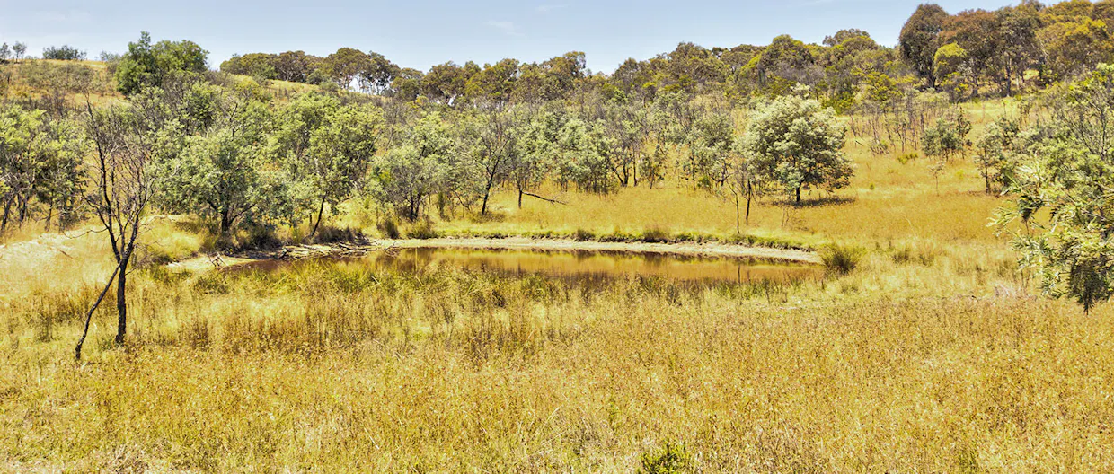 227-229 Rock Lodge Road, Lade Vale, NSW, 2581 - Image 32