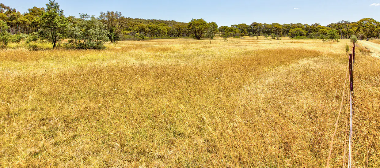 227-229 Rock Lodge Road, Lade Vale, NSW, 2581 - Image 35