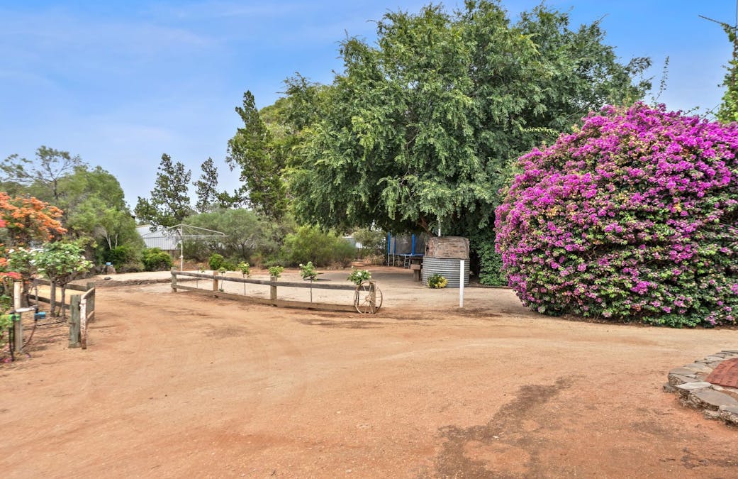 64 Gaskell Road, Barmera, SA, 5345 - Image 13