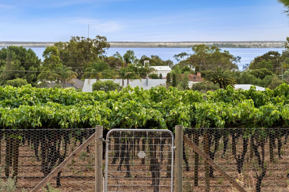 64 Gaskell Road, Barmera, SA, 5345 - Image 15