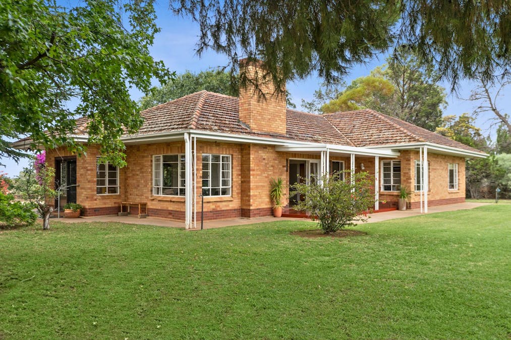 64 Gaskell Road, Barmera, SA, 5345 - Image 2