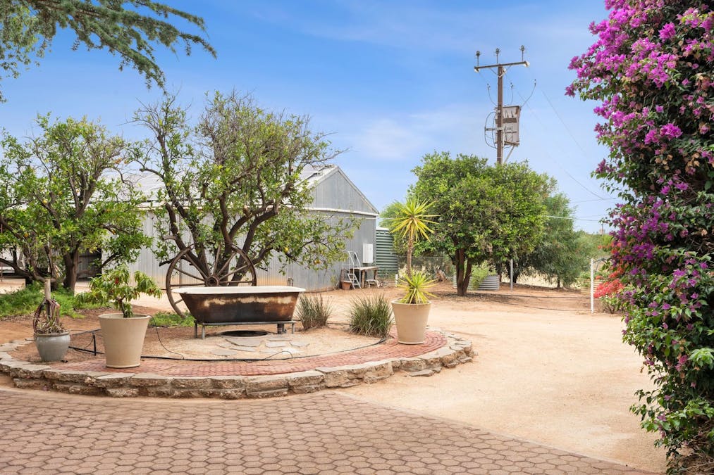 64 Gaskell Road, Barmera, SA, 5345 - Image 14