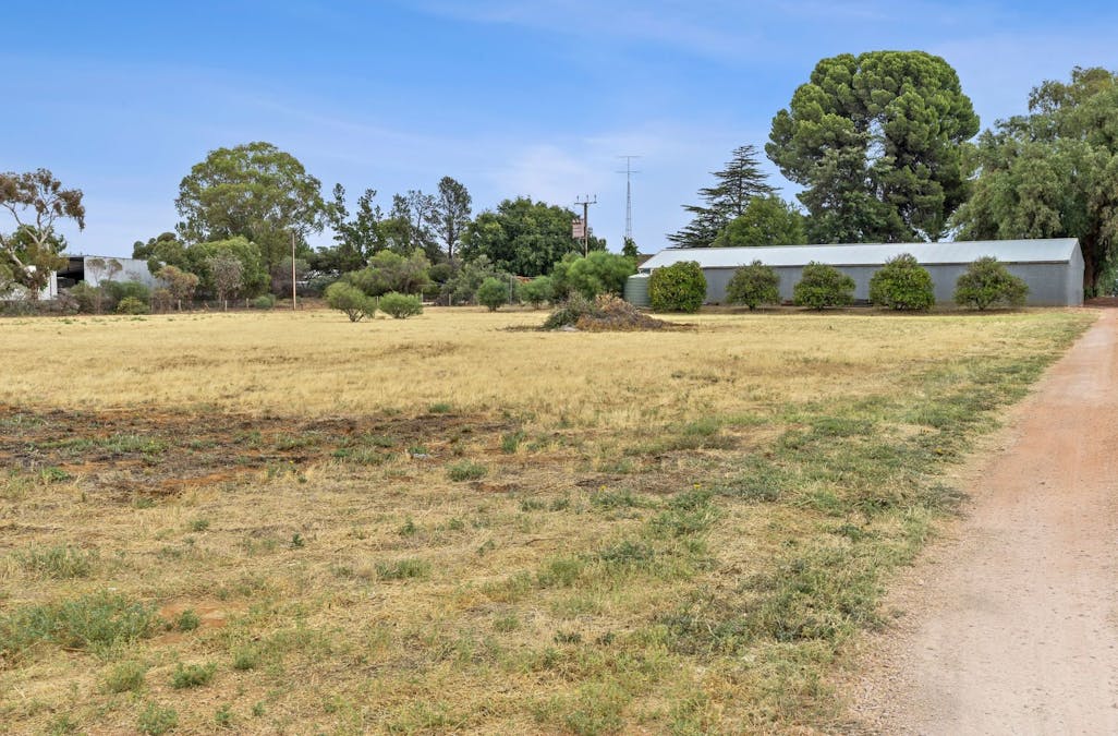 64 Gaskell Road, Barmera, SA, 5345 - Image 17