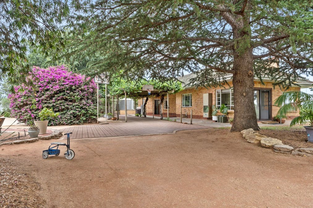 64 Gaskell Road, Barmera, SA, 5345 - Image 10