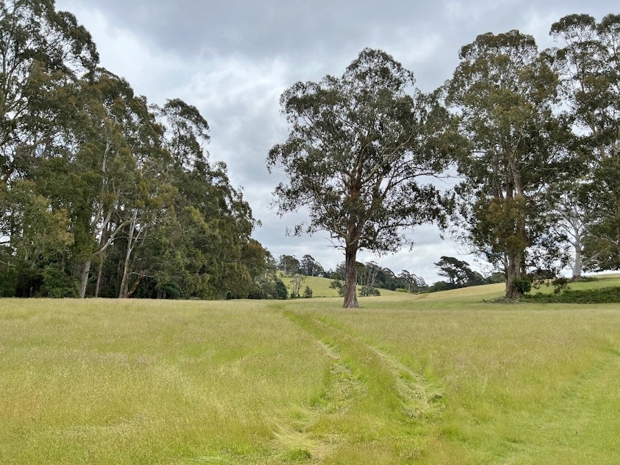 1/Tasman Highway, Weldborough, TAS, 7264 - Image 6