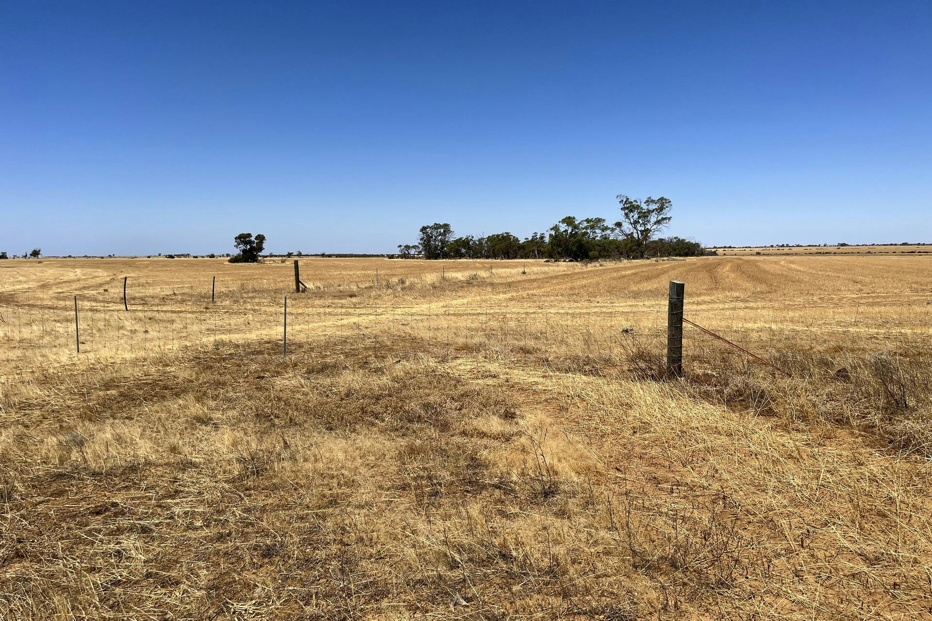 586 Baxter Road, Perenjori, WA, 6620 Sold Elders Real Estate