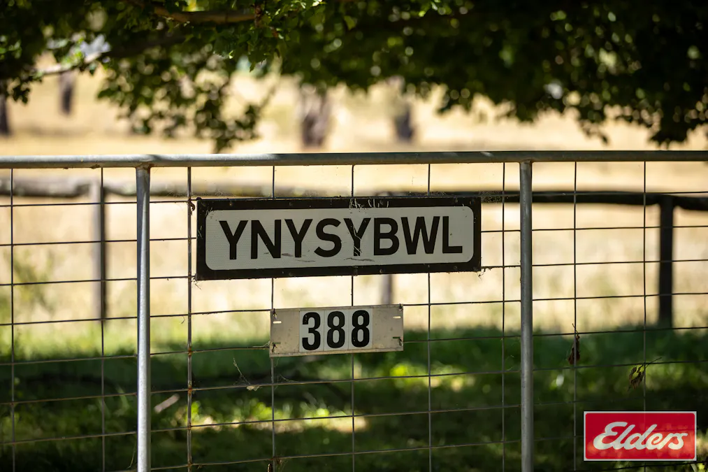 388 Stratton Road, Guyra, NSW, 2365 - Image 1