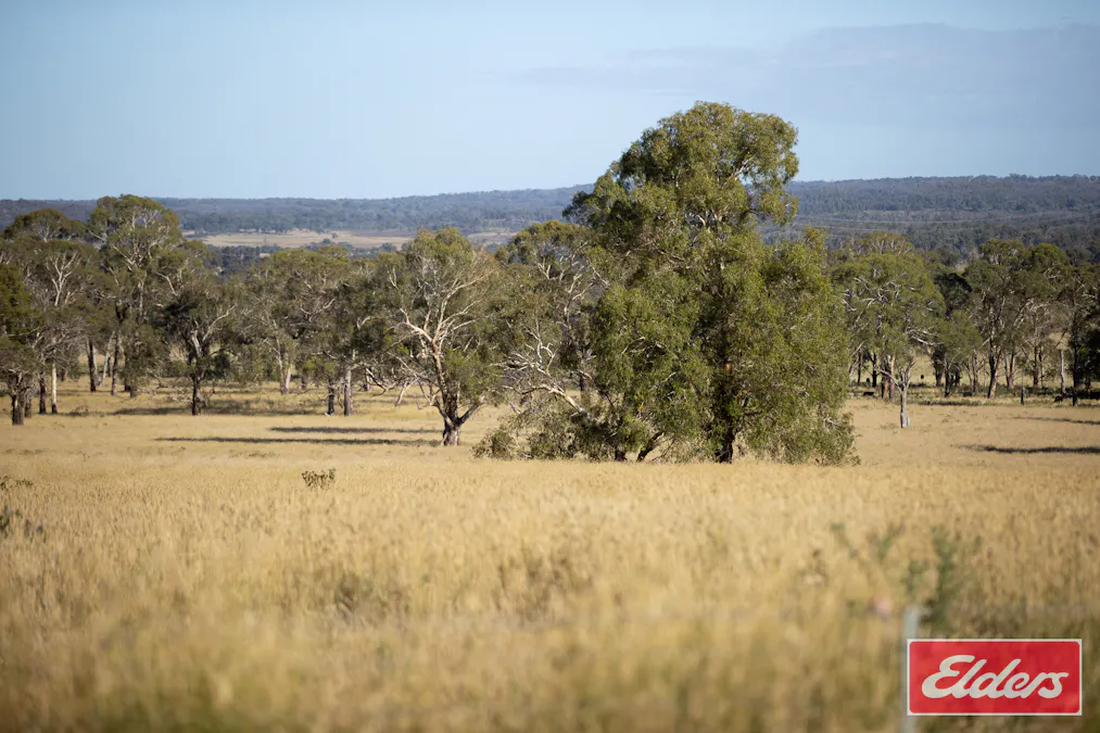 388 Stratton Road, Guyra, NSW, 2365 - Image 10