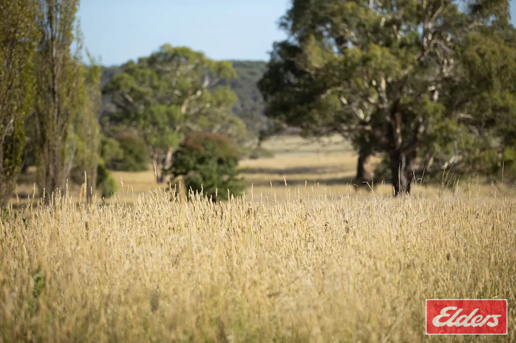 388 Stratton Road, Guyra, NSW, 2365 - Image 7