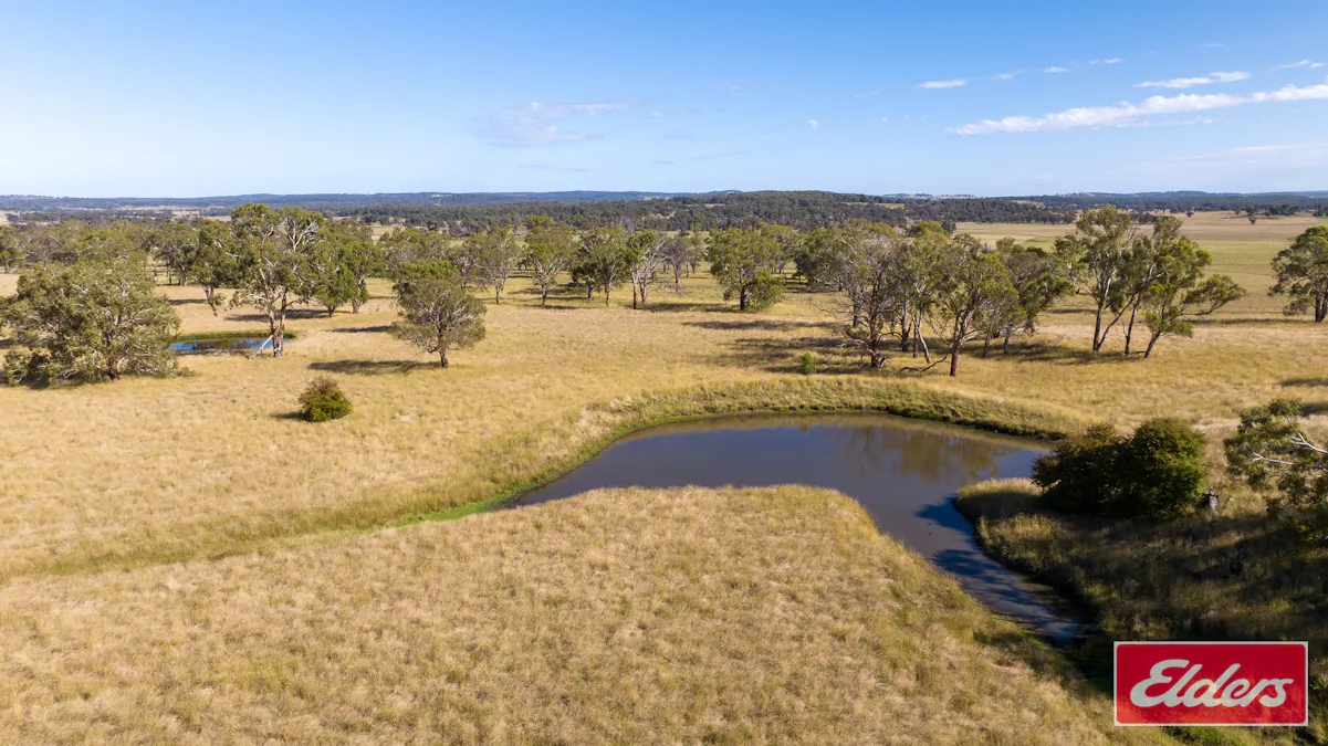 388 Stratton Road, Guyra, NSW, 2365 - Image 6