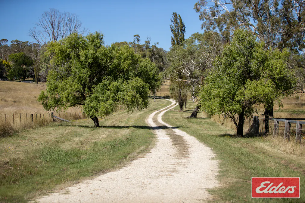 388 Stratton Road, Guyra, NSW, 2365 - Image 23