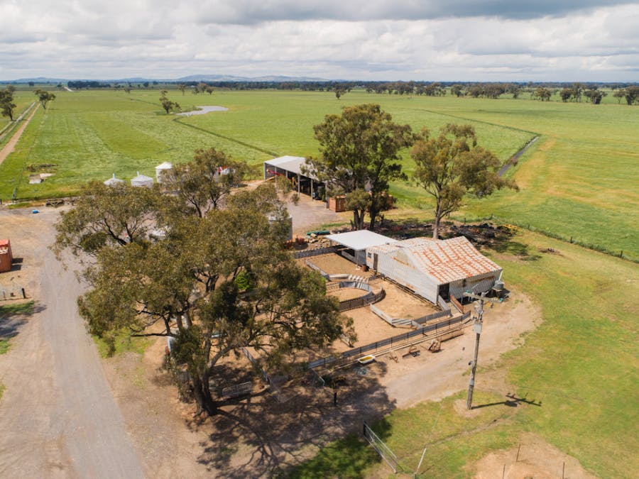 970 Boundary Road, Pine Lodge, VIC, 3631 - Image 9