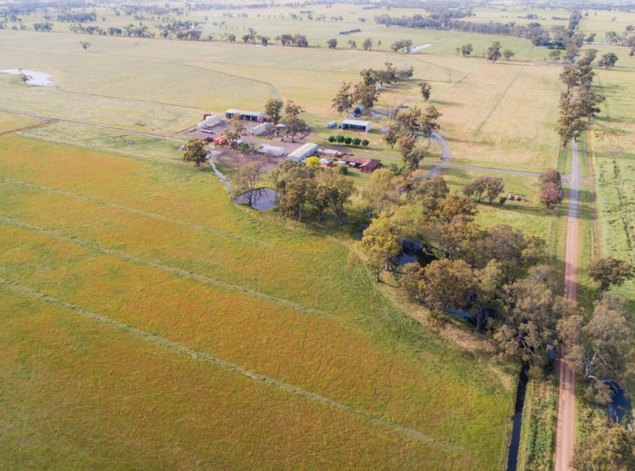 970 Boundary Road, Pine Lodge, VIC, 3631 - Image 5