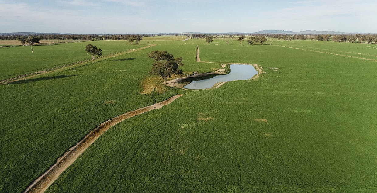 970 Boundary Road, Pine Lodge, VIC, 3631 - Image 14