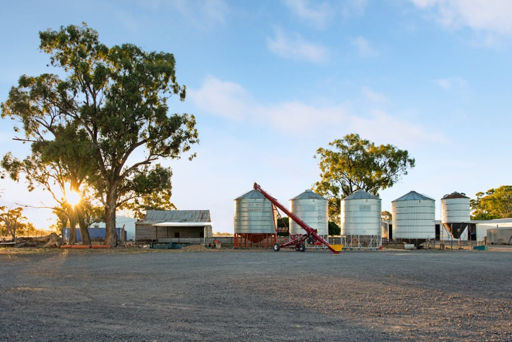 970 Boundary Road, Pine Lodge, VIC, 3631 - Image 18
