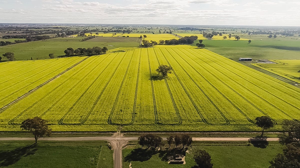 970 Boundary Road, Pine Lodge, VIC, 3631 - Image 23