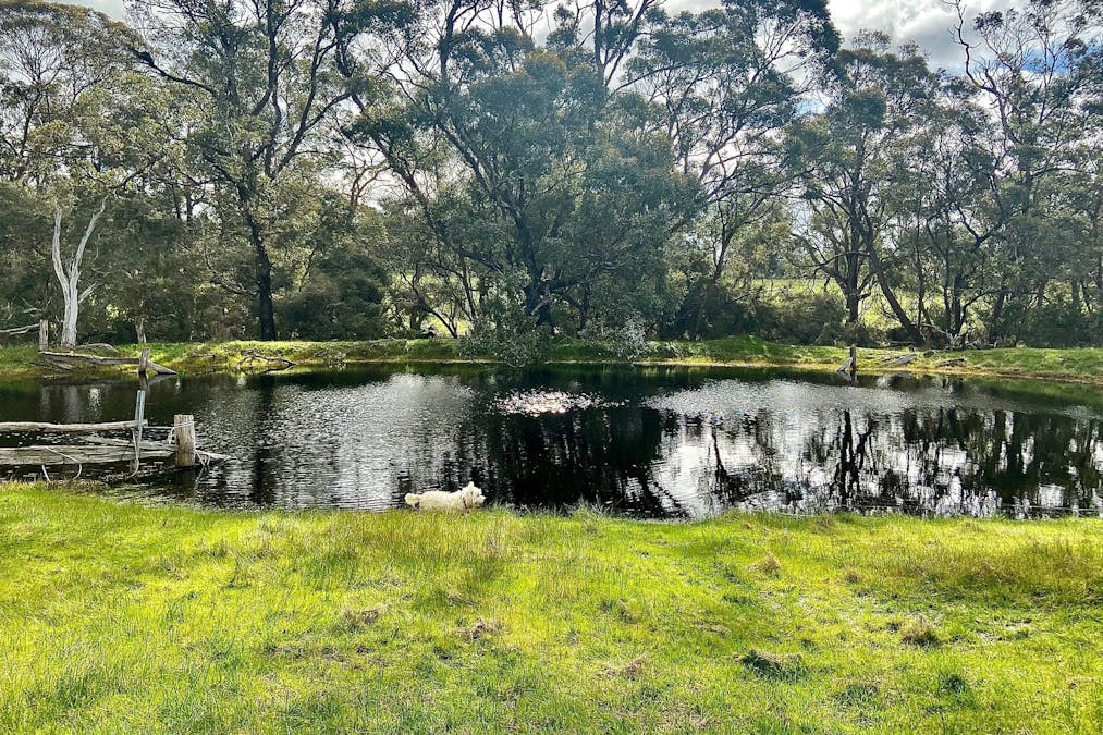 106 Warburton Road, Mount Barker, WA, 6324 - Image 3