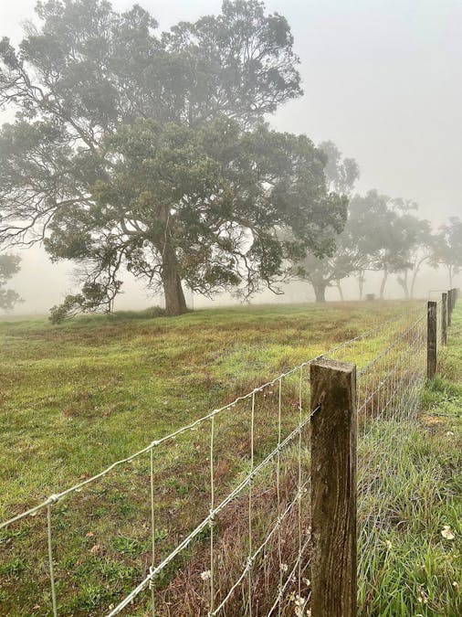 106 Warburton Road, Mount Barker, WA, 6324 - Image 12