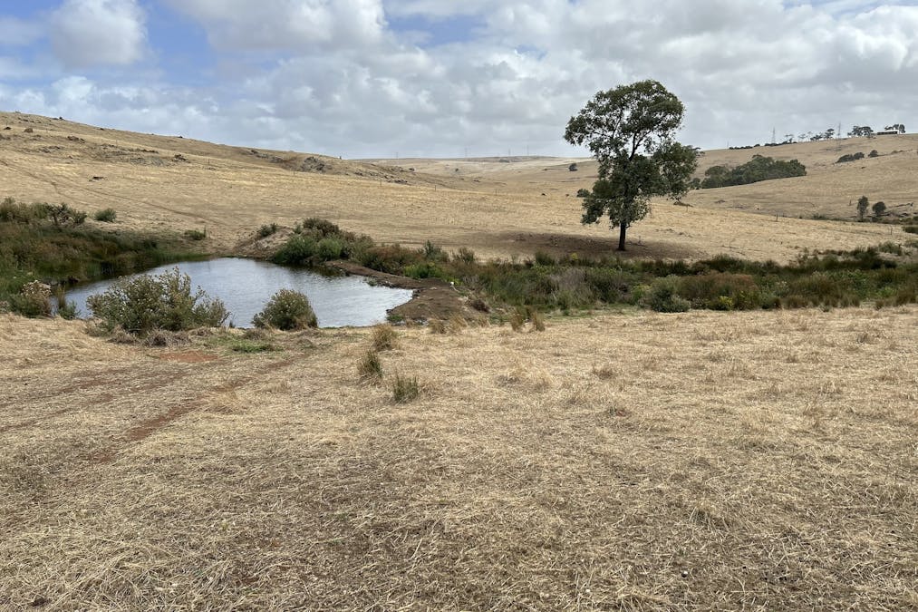 Lot 33 Gawler Ponds Road, Charlton Gully, SA, 5607 - Image 4