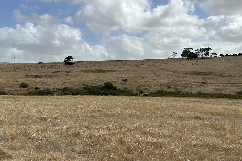 Lot 33 Gawler Ponds Road, Charlton Gully, SA, 5607 - Image 9