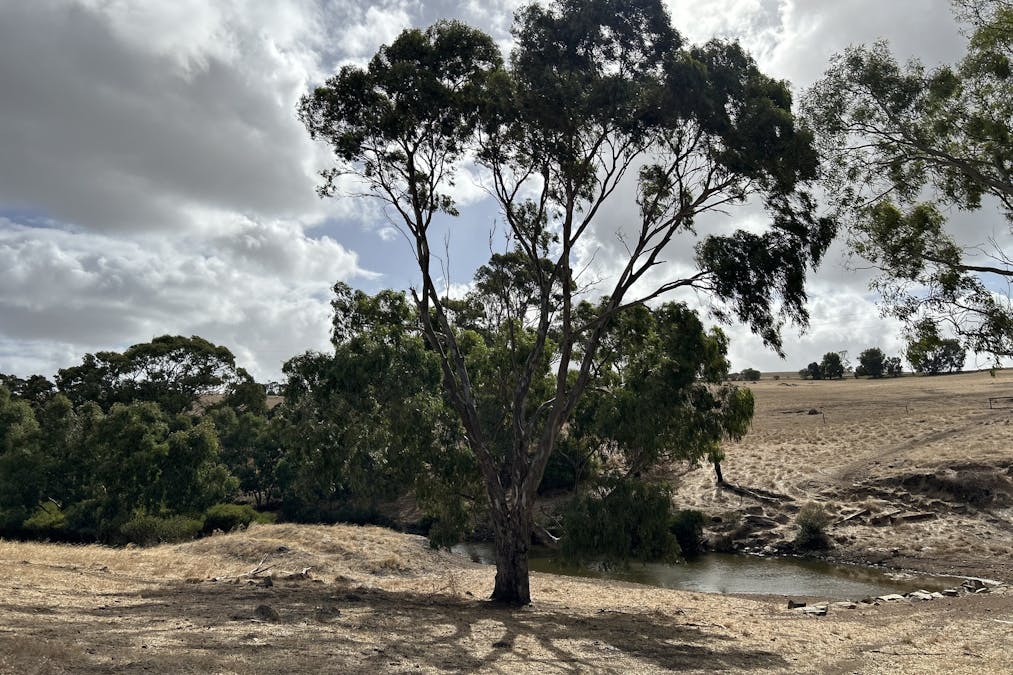 Lot 33 Gawler Ponds Road, Charlton Gully, SA, 5607 - Image 22