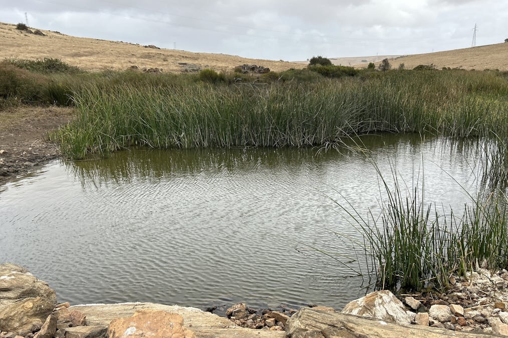Lot 33 Gawler Ponds Road, Charlton Gully, SA, 5607 - Image 23